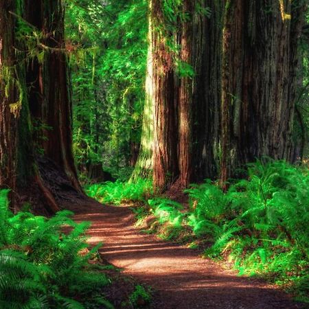 Cedar Mountain -Suite B Grants Pass Zewnętrze zdjęcie